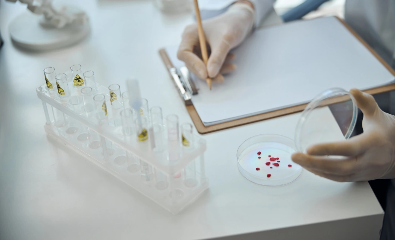 Close-up of a scientist&rsquo;s hands in gloves handling a virus sample, representing basic virology research